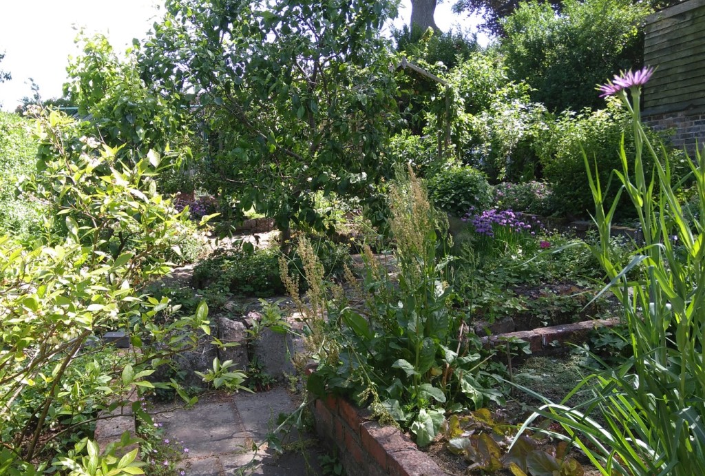 IMG 20200528 120406